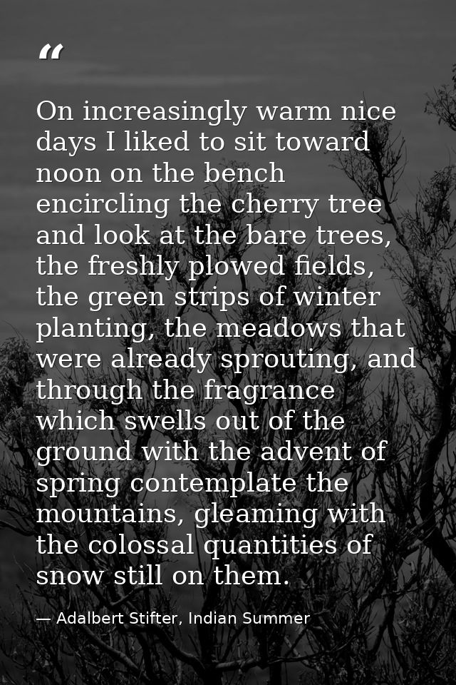 On increasingly warm nice days I liked to sit toward noon on the bench encircling the cherry tree and look at the bare t — Adalbert Stifter, Indian Summer