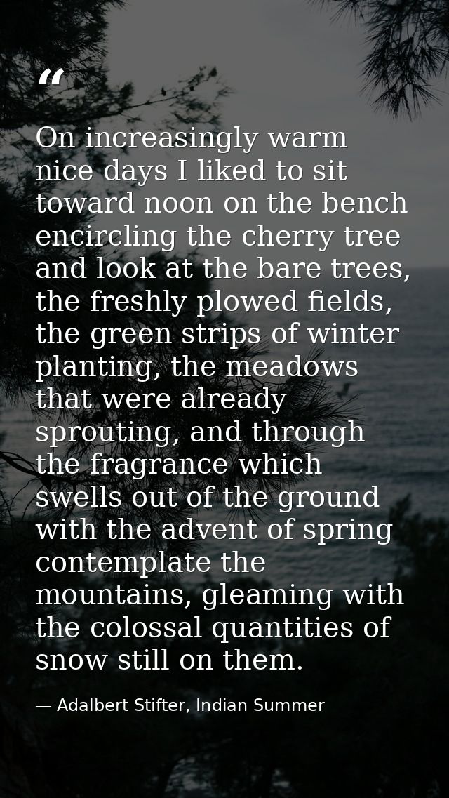 On increasingly warm nice days I liked to sit toward noon on the bench encircling the cherry tree and look at the bare t — Adalbert Stifter, Indian Summer