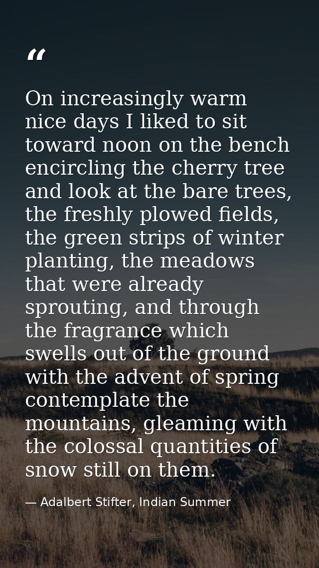 On increasingly warm nice days I liked to sit toward noon on the bench encircling the cherry tree and look at the bare t — Adalbert Stifter, Indian Summer