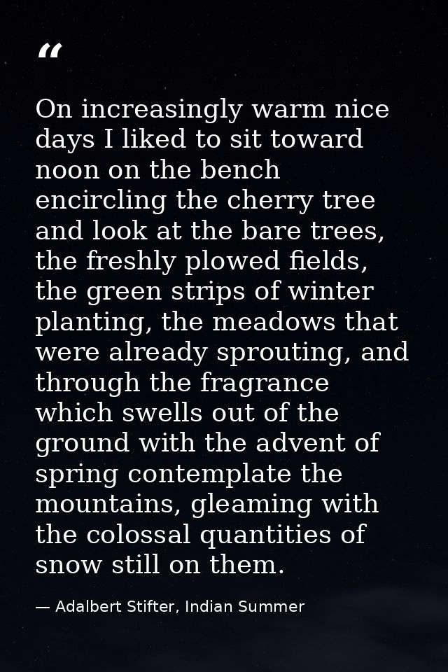 On increasingly warm nice days I liked to sit toward noon on the bench encircling the cherry tree and look at the bare t — Adalbert Stifter, Indian Summer