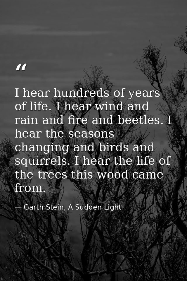 I hear hundreds of years of life. I hear wind and rain and fire and beetles. I hear the seasons changing and birds and s — Garth Stein, A Sudden Light