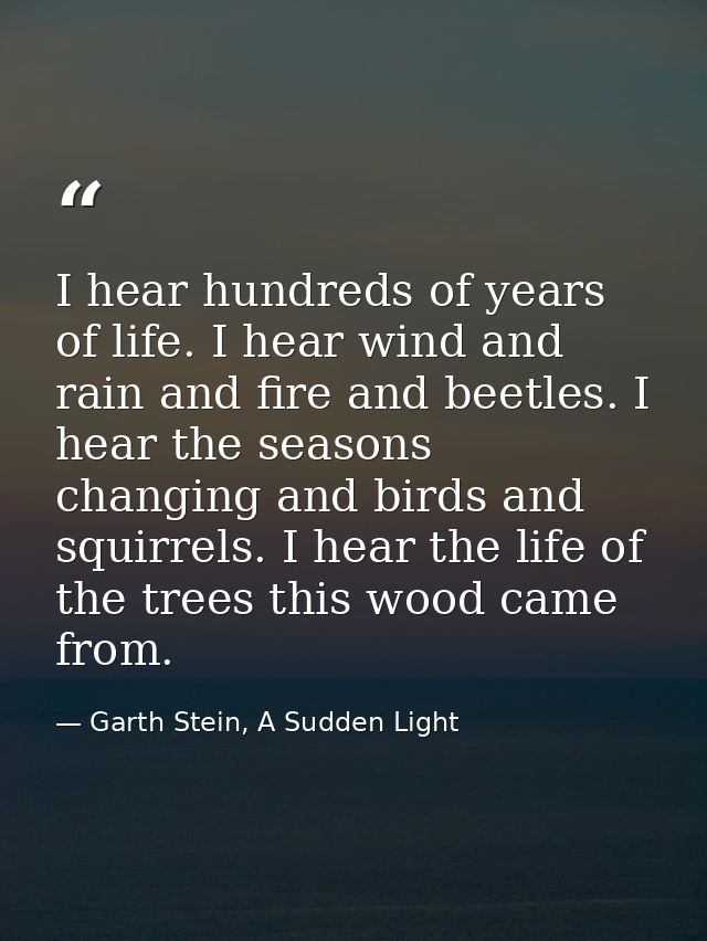 I hear hundreds of years of life. I hear wind and rain and fire and beetles. I hear the seasons changing and birds and s — Garth Stein, A Sudden Light