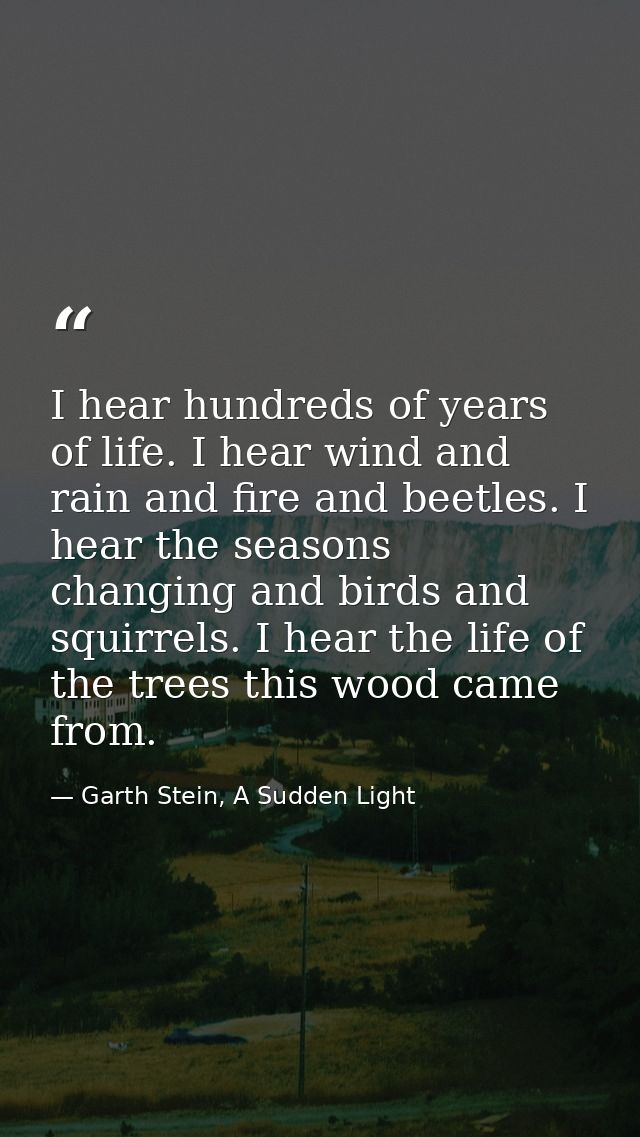 I hear hundreds of years of life. I hear wind and rain and fire and beetles. I hear the seasons changing and birds and s — Garth Stein, A Sudden Light
