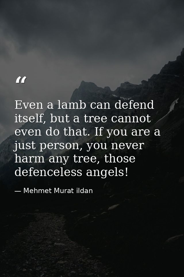 Even a lamb can defend itself, but a tree cannot even do that. If you are a just person, you never harm any tree, those  — Mehmet Murat ildan