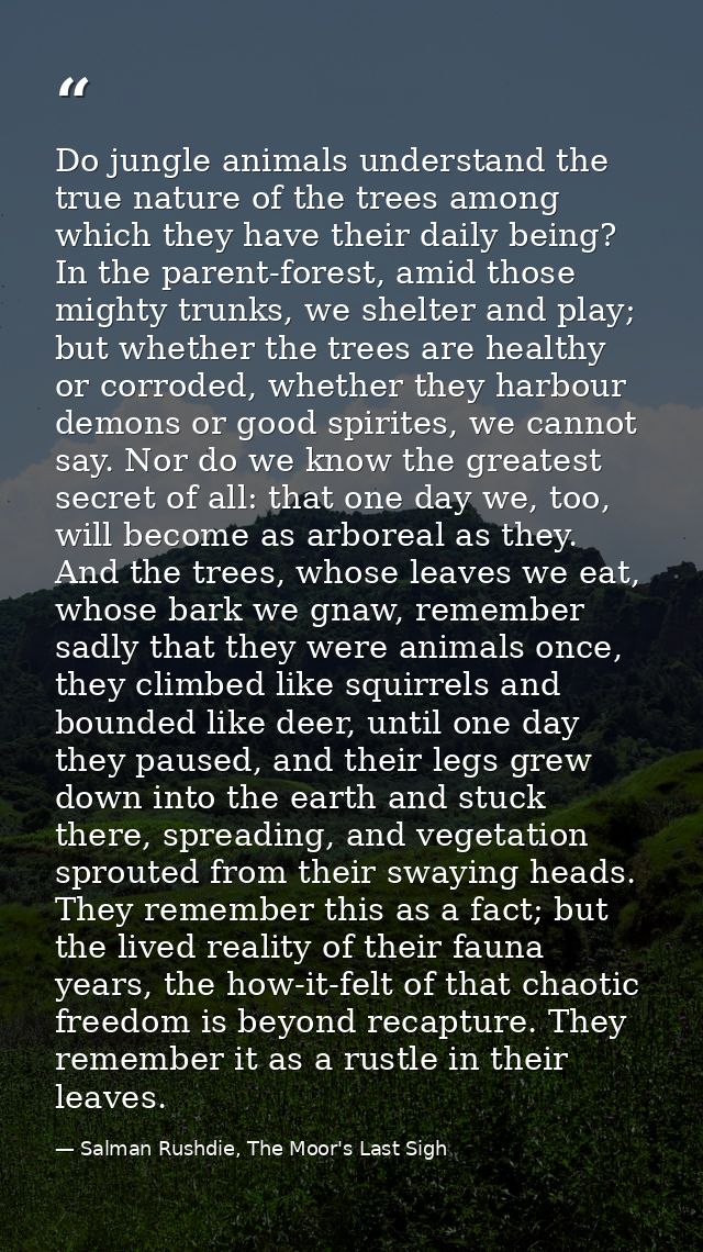 Do jungle animals understand the true nature of the trees among which they have their daily being? In the parent-forest, — Salman Rushdie, The Moor's Last Sigh