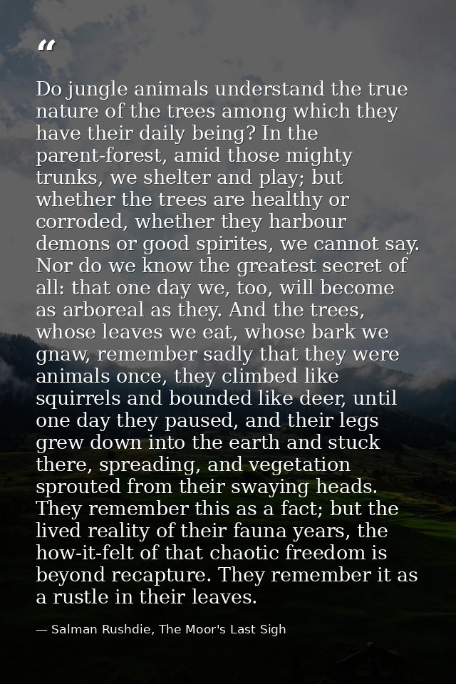 Do jungle animals understand the true nature of the trees among which they have their daily being? In the parent-forest, — Salman Rushdie, The Moor's Last Sigh