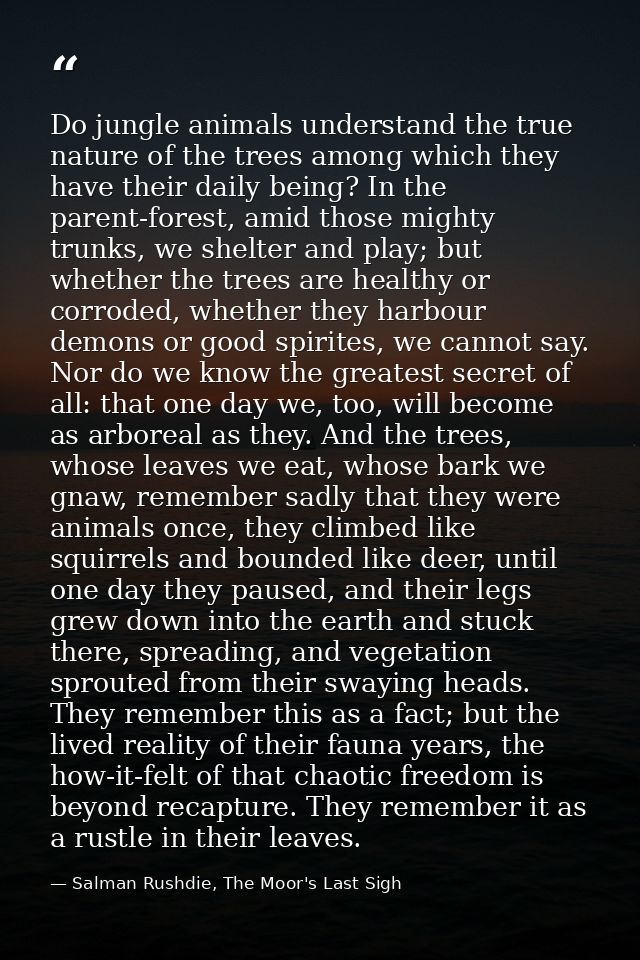 Do jungle animals understand the true nature of the trees among which they have their daily being? In the parent-forest, — Salman Rushdie, The Moor's Last Sigh