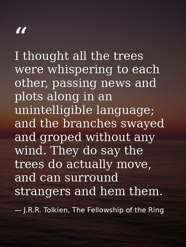 I thought all the trees were whispering to each other, passing news and plots along in an unintelligible language; and t — J.R.R. Tolkien, The Fellowship of the Ring