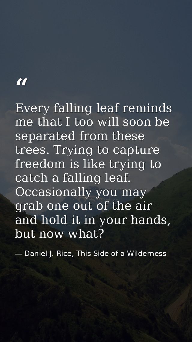Every falling leaf reminds me that I too will soon be separated from these trees. Trying to capture freedom is like tryi — Daniel J. Rice, This Side of a Wilderness