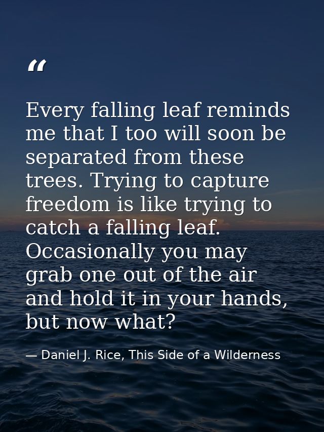 Every falling leaf reminds me that I too will soon be separated from these trees. Trying to capture freedom is like tryi — Daniel J. Rice, This Side of a Wilderness