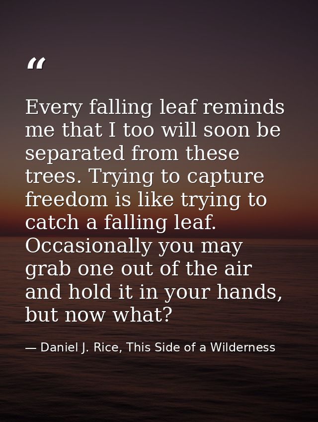Every falling leaf reminds me that I too will soon be separated from these trees. Trying to capture freedom is like tryi — Daniel J. Rice, This Side of a Wilderness