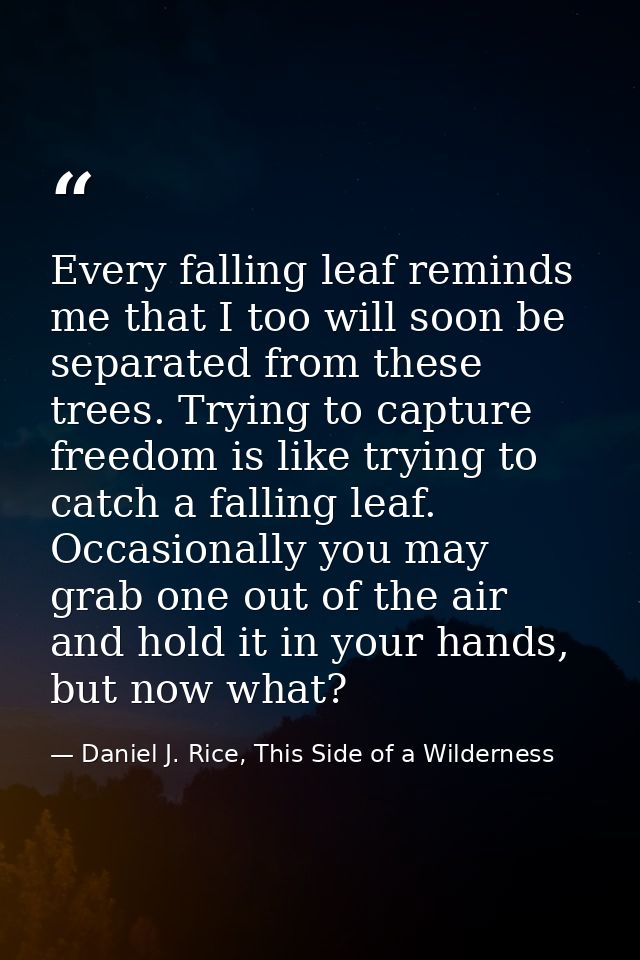 Every falling leaf reminds me that I too will soon be separated from these trees. Trying to capture freedom is like tryi — Daniel J. Rice, This Side of a Wilderness