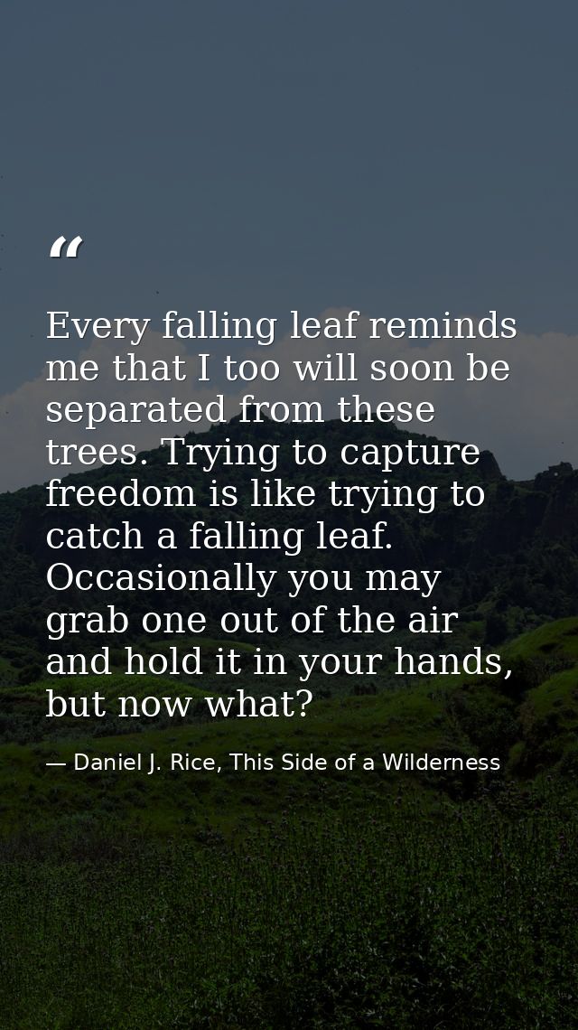 Every falling leaf reminds me that I too will soon be separated from these trees. Trying to capture freedom is like tryi — Daniel J. Rice, This Side of a Wilderness