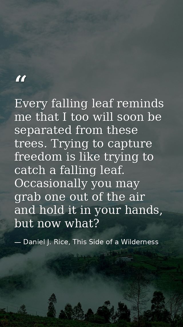 Every falling leaf reminds me that I too will soon be separated from these trees. Trying to capture freedom is like tryi — Daniel J. Rice, This Side of a Wilderness
