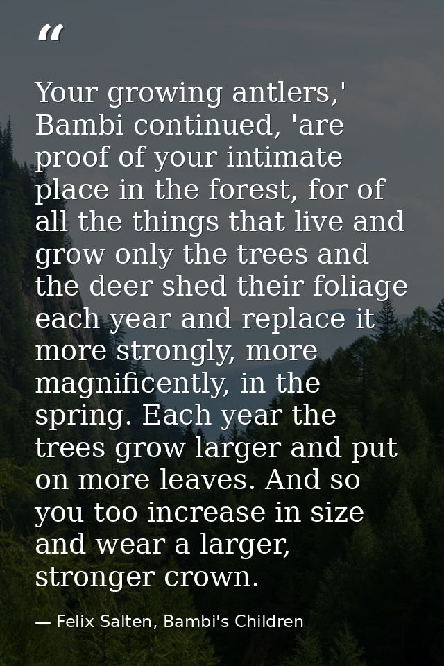 Your growing antlers,' Bambi continued, 'are proof of your intimate place in the forest, for of all the things that live — Felix Salten, Bambi's Children