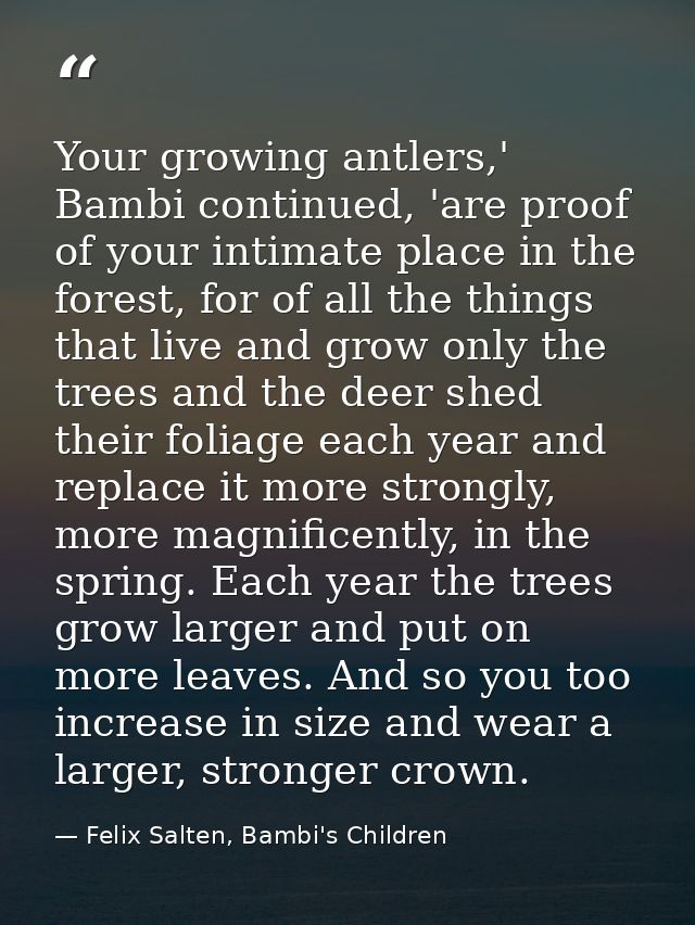 Your growing antlers,' Bambi continued, 'are proof of your intimate place in the forest, for of all the things that live — Felix Salten, Bambi's Children