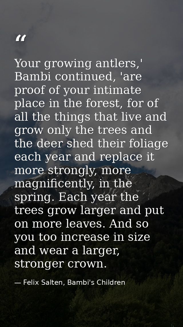 Your growing antlers,' Bambi continued, 'are proof of your intimate place in the forest, for of all the things that live — Felix Salten, Bambi's Children