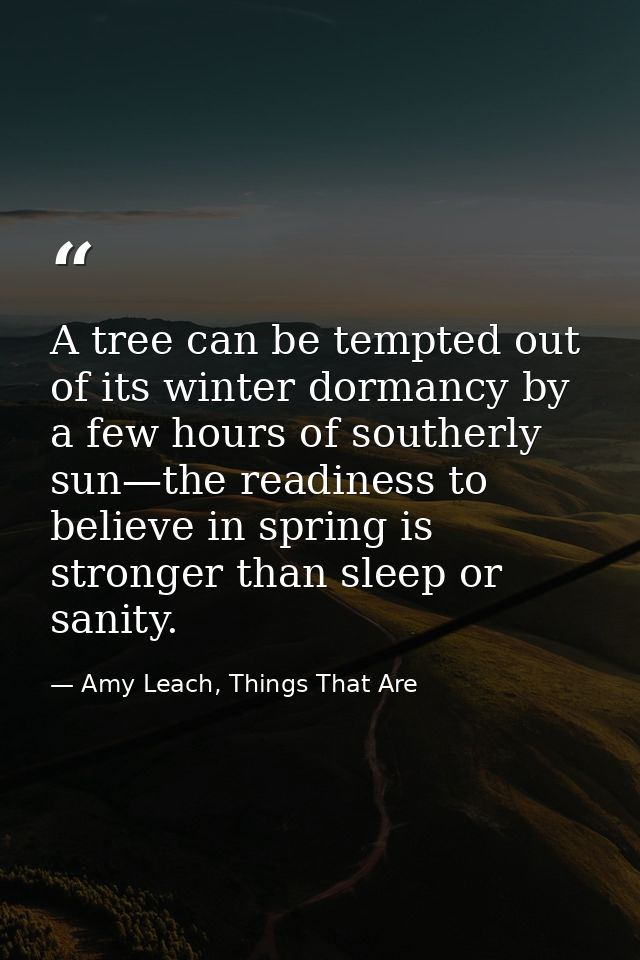 A tree can be tempted out of its winter dormancy by a few hours of southerly sun—the readiness to believe in spring is s — Amy Leach, Things That Are