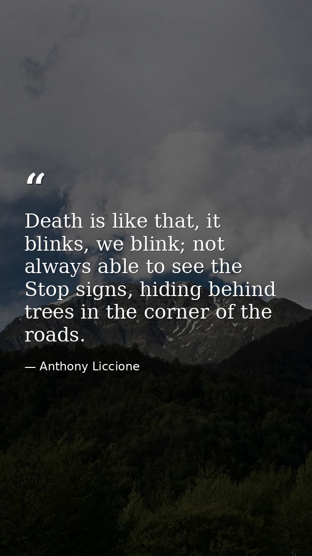 Death is like that, it blinks, we blink; not always able to see the Stop signs, hiding behind trees in the corner of the — Anthony Liccione