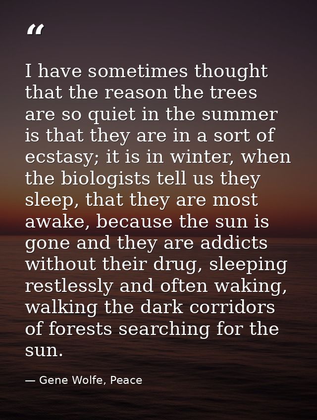 I have sometimes thought that the reason the trees are so quiet in the summer is that they are in a sort of ecstasy; it  — Gene Wolfe, Peace