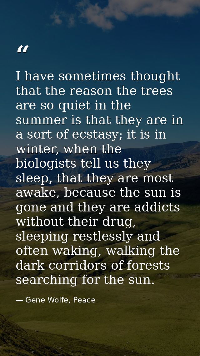I have sometimes thought that the reason the trees are so quiet in the summer is that they are in a sort of ecstasy; it  — Gene Wolfe, Peace