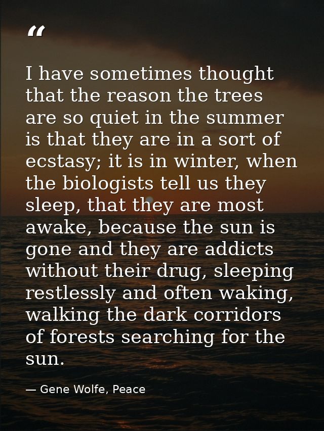 I have sometimes thought that the reason the trees are so quiet in the summer is that they are in a sort of ecstasy; it  — Gene Wolfe, Peace