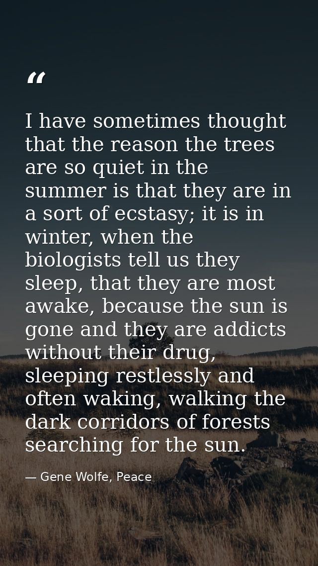 I have sometimes thought that the reason the trees are so quiet in the summer is that they are in a sort of ecstasy; it  — Gene Wolfe, Peace