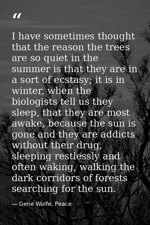 I have sometimes thought that the reason the trees are so quiet in the summer is that they are in a sort of ecstasy; it  — Gene Wolfe, Peace