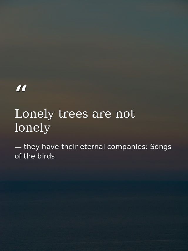 Lonely trees are not lonely — they have their eternal companies: Songs of the birds