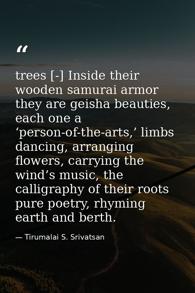trees [-] Inside their wooden samurai armor they are geisha beauties, each one a ‘person-of-the-arts,’ limbs dancing, ar — Tirumalai S. Srivatsan