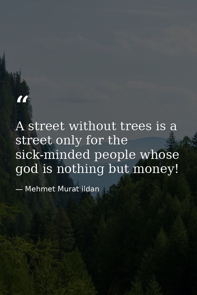 A street without trees is a street only for the sick-minded people whose god is nothing but money! — Mehmet Murat ildan