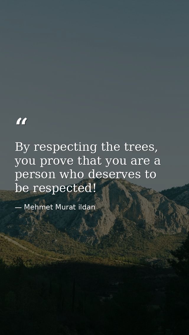 By respecting the trees, you prove that you are a person who deserves to be respected! — Mehmet Murat ildan