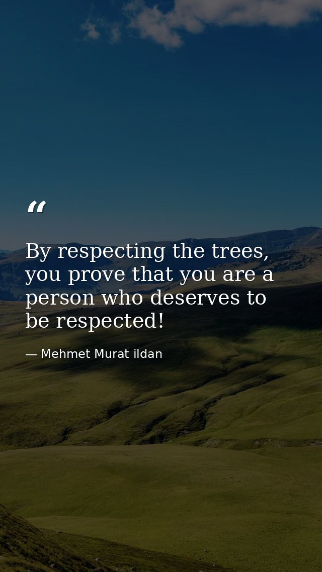 By respecting the trees, you prove that you are a person who deserves to be respected! — Mehmet Murat ildan