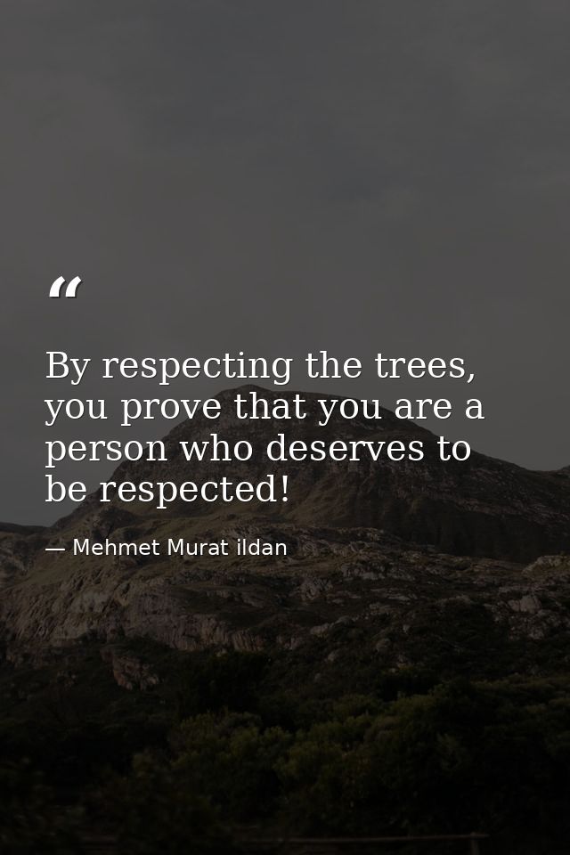 By respecting the trees, you prove that you are a person who deserves to be respected! — Mehmet Murat ildan