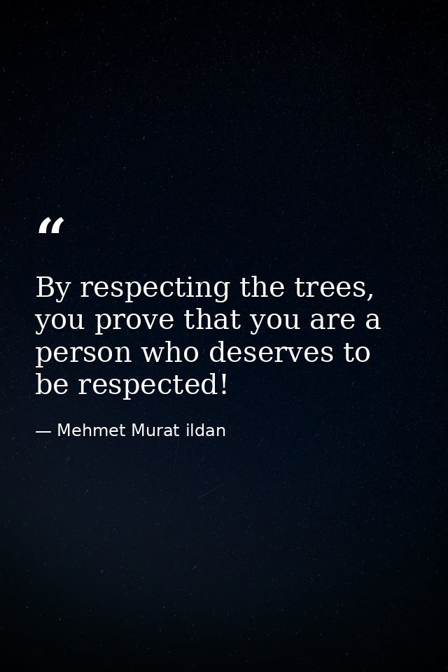 By respecting the trees, you prove that you are a person who deserves to be respected! — Mehmet Murat ildan