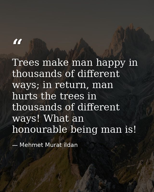 Trees make man happy in thousands of different ways; in return, man hurts the trees in thousands of different ways! What — Mehmet Murat ildan