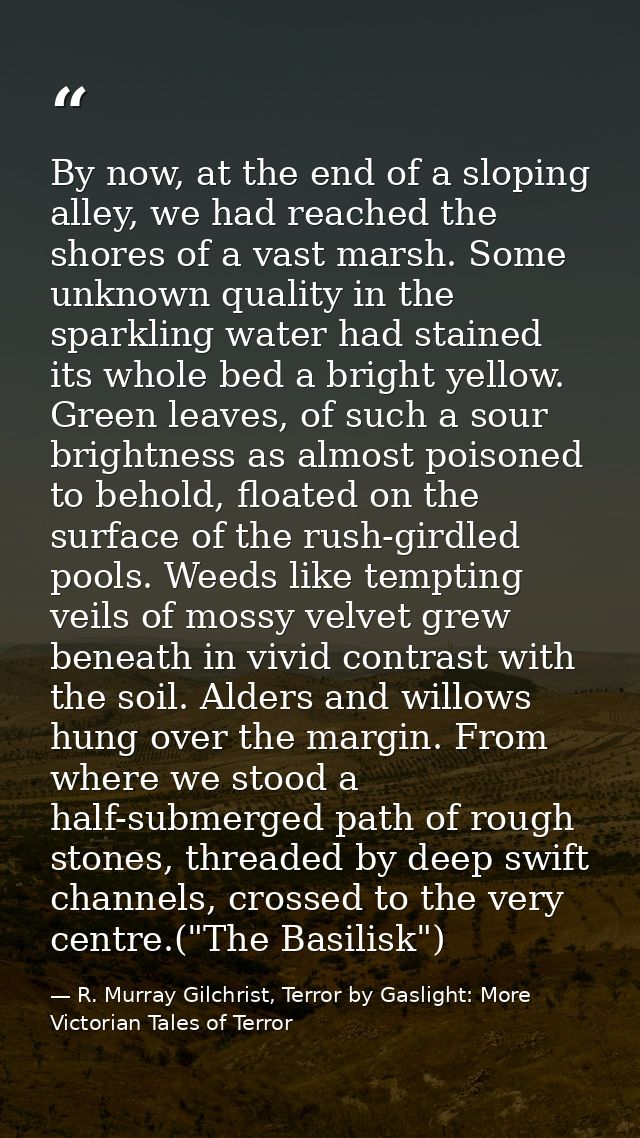 By now, at the end of a sloping alley, we had reached the shores of a vast marsh. Some unknown quality in the sparkling  — R. Murray Gilchrist, Terror by Gaslight: More Victorian Tales of Terror