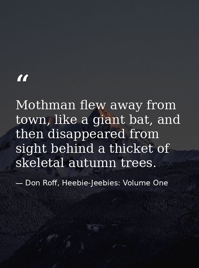 Mothman flew away from town, like a giant bat, and then disappeared from sight behind a thicket of skeletal autumn trees — Don Roff, Heebie-Jeebies: Volume One