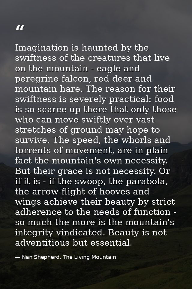 Imagination is haunted by the swiftness of the creatures that live on the mountain - eagle and peregrine falcon, red dee — Nan Shepherd, The Living Mountain