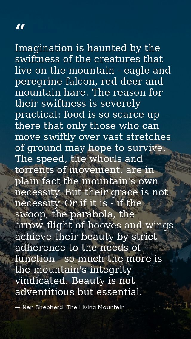 Imagination is haunted by the swiftness of the creatures that live on the mountain - eagle and peregrine falcon, red dee — Nan Shepherd, The Living Mountain