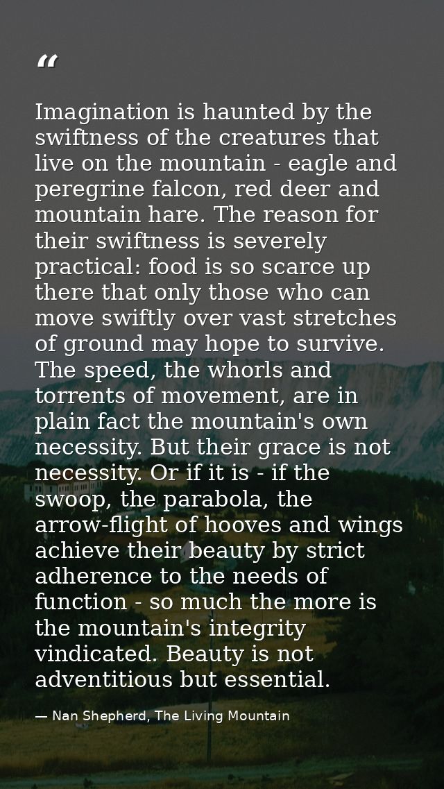 Imagination is haunted by the swiftness of the creatures that live on the mountain - eagle and peregrine falcon, red dee — Nan Shepherd, The Living Mountain