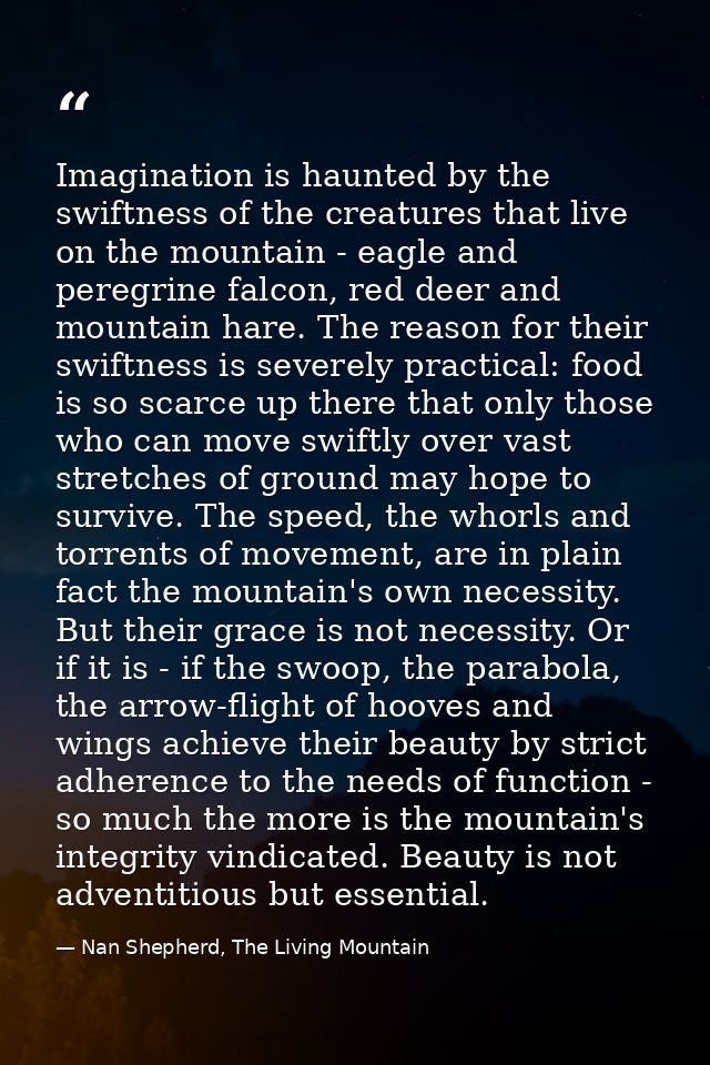Imagination is haunted by the swiftness of the creatures that live on the mountain - eagle and peregrine falcon, red dee — Nan Shepherd, The Living Mountain