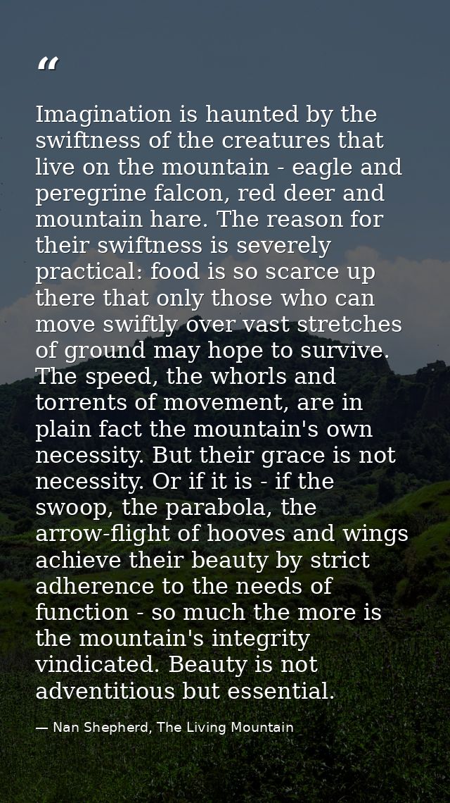 Imagination is haunted by the swiftness of the creatures that live on the mountain - eagle and peregrine falcon, red dee — Nan Shepherd, The Living Mountain