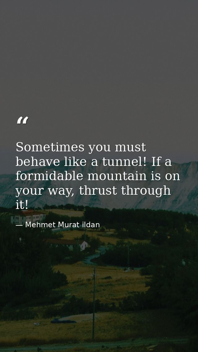 Sometimes you must behave like a tunnel! If a formidable mountain is on your way, thrust through it! — Mehmet Murat ildan