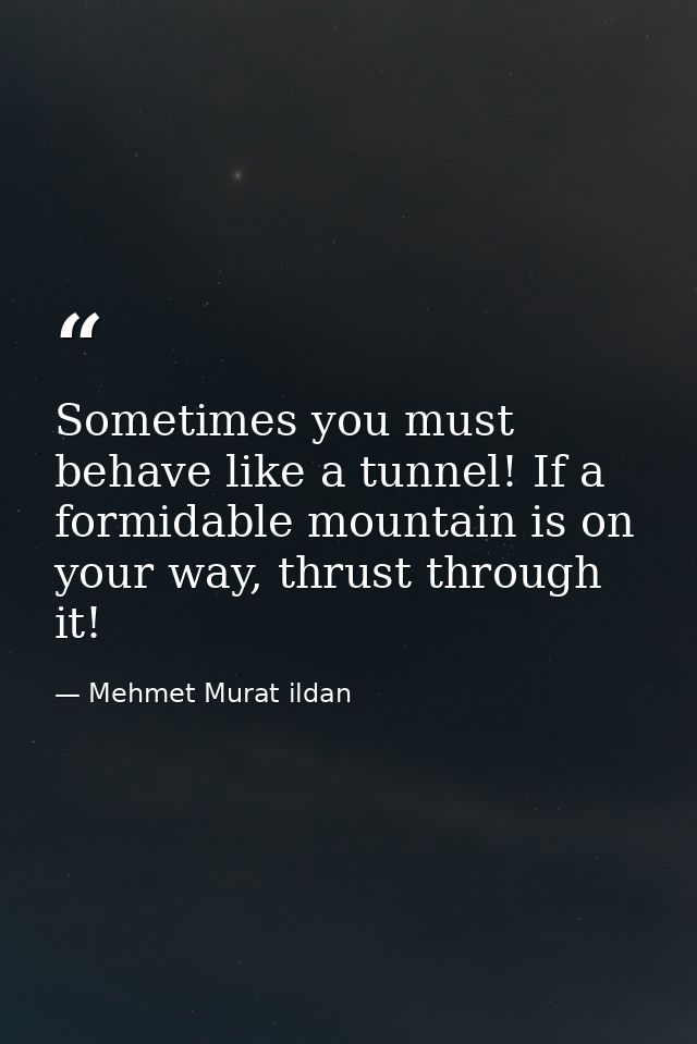 Sometimes you must behave like a tunnel! If a formidable mountain is on your way, thrust through it! — Mehmet Murat ildan