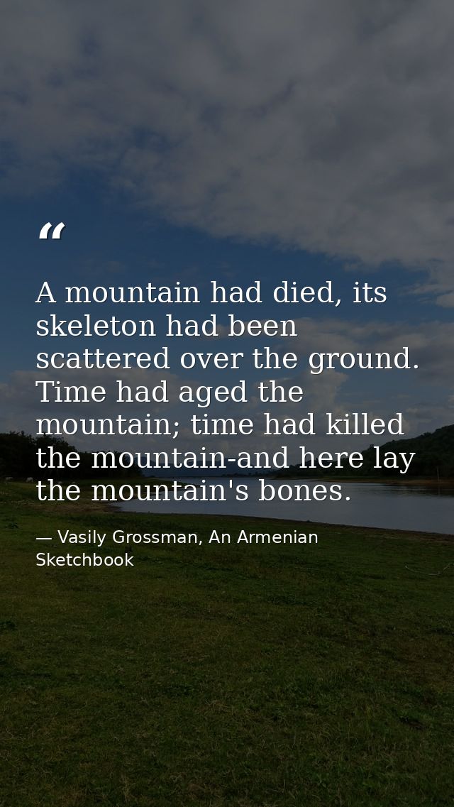 A mountain had died, its skeleton had been scattered over the ground. Time had aged the mountain; time had killed the mo — Vasily Grossman, An Armenian Sketchbook