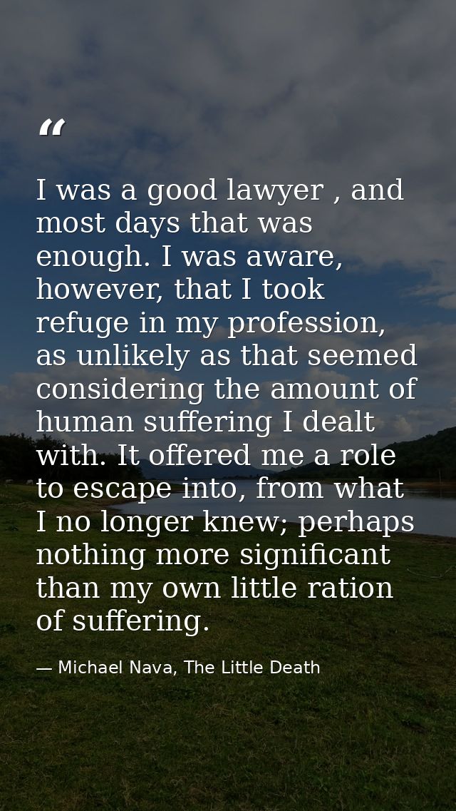 I was a good lawyer , and most days that was enough. I was aware, however, that I took refuge in my profession, as unlik — Michael Nava, The Little Death