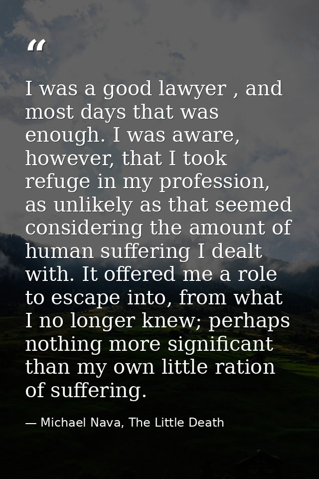 I was a good lawyer , and most days that was enough. I was aware, however, that I took refuge in my profession, as unlik — Michael Nava, The Little Death