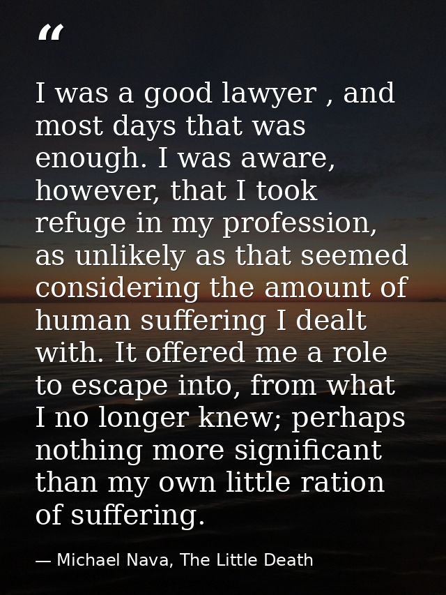 I was a good lawyer , and most days that was enough. I was aware, however, that I took refuge in my profession, as unlik — Michael Nava, The Little Death