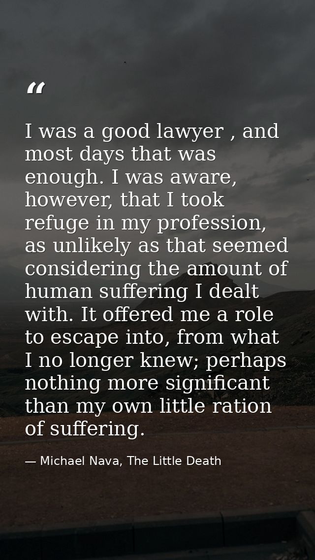 I was a good lawyer , and most days that was enough. I was aware, however, that I took refuge in my profession, as unlik — Michael Nava, The Little Death